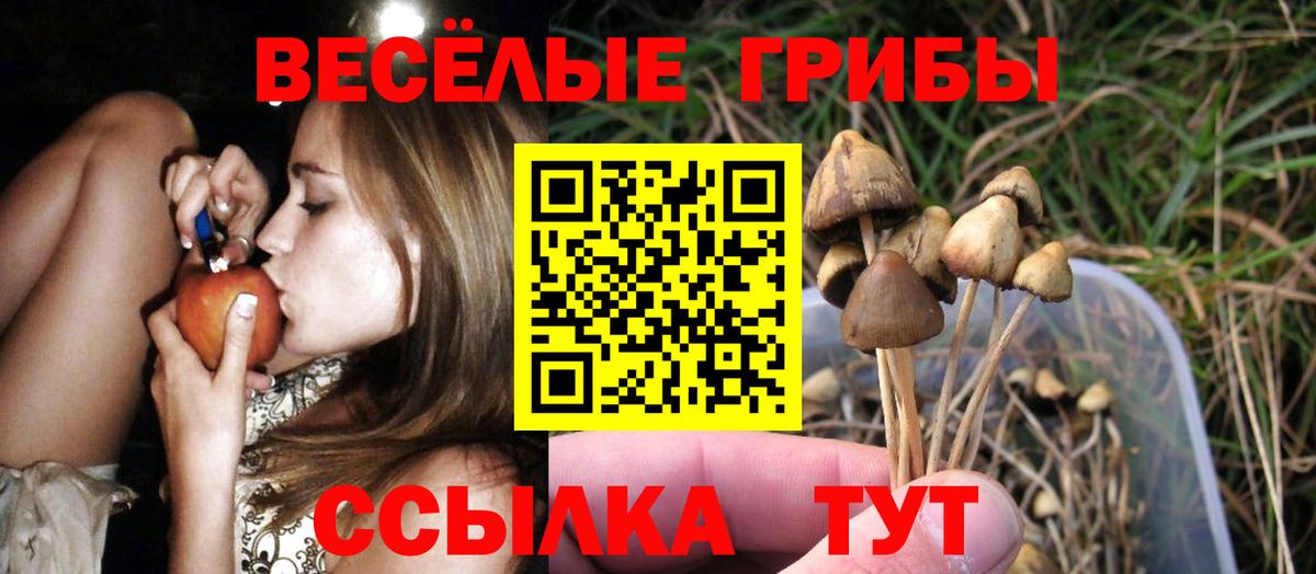 Галлюциногенные грибы MAGIC MUSHROOMS Валуйки